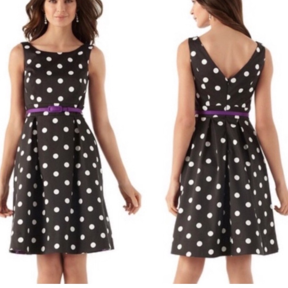 NWT White House Black Market Dress Size 8 Belted Polka Dot Fit And Flare Cotton